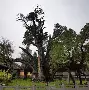 嵩山雷霆队鏖战徽州金雕队，拉力赛友谊赛小胜，替补奇兵立功。中场绞杀压制对手